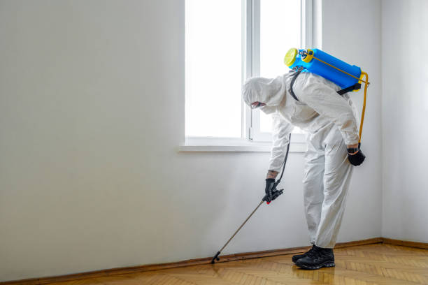 Best Emergency Pest Control  in Swoyersville, PA