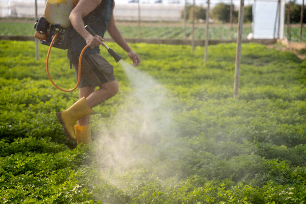 Best Affordable Pest Control Services  in Swoyersville, PA