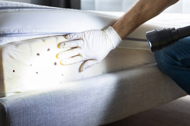 Best Pest Control for Restaurants  in Swoyersville, PA